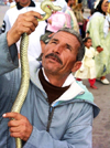Morocco / Maroc - Marrakesh: street entertainer playing with a snake - photo by J.Kaman