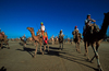 Morrocco, Marrakesh: camel race on the beach - Discovery Channel Eco-challenge - photo by S.Egeberg