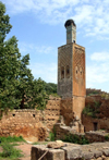 Morocco / Maroc - Rabat: Chellah necropolis - minaret of the Merenid mosque and ruins of Sala Colonia - photo by J.Kaman
