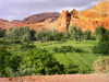 Morocco / Maroc - Dades gorge: green fields - photo by J.Kaman