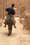 Morocco / Maroc - Ait Benhaddou: casbah taxi - donkey - photo by J.Banks