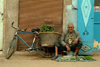 Morocco / Maroc - Marrakesh: mint seller and his bike - photo by J.Banks