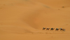 Morocco / Maroc - Black desert - near Merzouga: caravan in the Sahara desert - photo by J.Banks