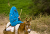 Souss-Massa National Park, Morocco: woman riding a donkey - photo by Sandia