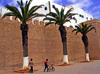 Mogador / Essaouira - Morocco: peaceful afternoon - walls and palm trees - photo by Sandia