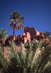 Morocco / Maroc - Ouarzazate: palms and ruins - photo by F.Rigaud