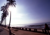 Mozambique / Moambique - Maputo / Loureno Marques: Indian ocean waterfront - coconut trees - avenida marginal - coqueiros (antiga avenida D. Manuel I) - photo by F.Rigaud