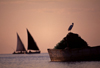 Mozambique / Moambique - Bazaruto island, Vilanculos District, Inhambane province: boats and stork - dhows sailing / barcos e cegonha - photo by F.Rigaud