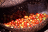 Mozambique island / Ilha de Moambique, Nampula province: cherry tomatoes in a basket / tomates cereja num cesto - photo by F.Rigaud