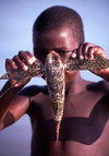 Mozambique / Moambique - Benguerra: boy with flying fish / miudo com peixe voador - photo by F.Rigaud