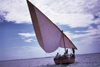 Ilha de Moambique / Mozambique island: dhow on the Indian ocean / Baa de Mossuril - photo by F.Rigaud