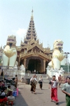 Myanmar / Burma - Yangon / Rangoon: lions in front of Shwedagon pagoda (photo by J.Kaman)