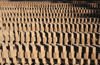 Myanmar - Bagan: production of clay bricks - industry - Asia - photo by W.Allgwer - Die Verwendung des Ziegels lsst sich in Vorderasien und auf dem indischen Subkontinent bis ber fnftausend Jahre zurckverfolgen und gebrannte Lehmsteine nachweisen. N
