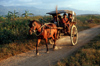 Myanmar - Inle lake: horse-drawn carriage near the lake - photo by W.Allgwer - Pferdekutsche zum Personentransport beim Inle-See