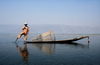 Myanmar / Burma - Inle Lake: lone fisherman - navigating on one leg - photo by D.Forman