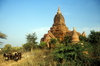 Myanmar / Burma - Bagan / Pagan: oxen and pagoda - dirt road - photo by D.Forman