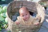 Myanmar / Burma - Nyaungshwe: baby in a basket (photo by J.Kaman)