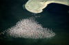 Namibia: Aerial view of flock of flamingos off Skeleton Coast, Kunene region - photo by B.Cain