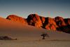 Namibia: Desert at dusk, lone tree, mountains near Sossusvlei - photo by B.Cain