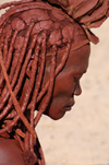 Namibia: Himba Woman close-up with braided, ochre covered hair, Kunene region - photo by B.Cain