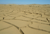 Namib desert: cracked river bed - photo by J.Banks