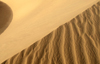 Namibia: Sand Dune close-up, Skeleton Coast - photo by B.Cain