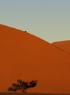Namib Desert - Sossusvlei, Hardap region, Namibia, Africa: two people on Dune# 45 at sunrise - photo by B.Cain