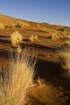 Namib Desert - Sossusvlei, Hardap region, Namibia: dunes at sunrise - Namib-Naukluft National Park - photo by Sandia