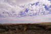 Sesriem Canyon, Namib desert, Hardap region, Namibia: deep formation in sedimentary rock -1 km. long - wadi or rivier of the Tsauchab river - southern Naukluft Mountains - photo by Sandia