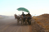 Damaraland, Kunene Region, Namibia: most popular means of transport - donkey cart - Quadriga - photo by Sandia