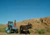 Namibia: mountain transport - cart - photo by J.Banks
