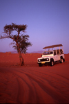 Namibia - Namib desert: Land Rover Defender and tree - photo by G.Friedman