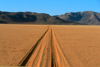 Namibia - Namib desert: tracks in sand - photo by G.Friedman