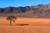 Namibia - Namib desert: landscape - photo by G.Friedman