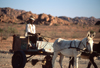 Namibia - old man with donkey cart from afar - photo by G.Friedman