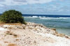 Nauru: rocky beach - photo by G.Frysinger