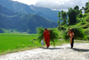 Nepal, Pokhara: two women carrying feed along a road next to fields and mountains - photo by J.Pemberton
