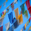Kathmandu, Nepal: bird and prayer flags - Vajrayana Buddhism - photo by W.Allgwer
