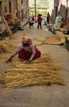 Kirtipur, Kathmandu valley, Nepal: peasant woman preparing hay - photo by W.Allgwer