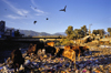 Kathmandu, Nepal: cows and birds feed at a waste dump - there is no organized waste disposal in the city - photo by W.Allgwer
