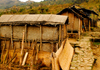 Sankhuwasabha District, Kosi Zone, Nepal: bamboo village on the way to Salpa pass - photo by E.Petitalot