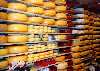 Netherlands - Gouda (Zuid-Holland): cheese rainbow / kaas (photo by Miguel Torres)