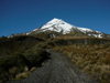 New Zealand - North Island - Mount Taranaki / Egmont: road - Taranaki region - photo by M.Samper