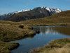 17 New Zealand - South Island - Kelly Range, Arthurs Pass National Park - Canterbury region (photo by M.Samper)
