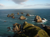 69 New Zealand - South Island - The Nuggets, Nugget Point - Otago region (photo by M.Samper)