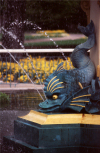New Zealand - South island: Christchurch - fountain at museum - dolphin - photo by Air West Coast