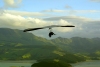 New Zealand - South island: a hang glider soars above the scenic valleys near Christchurch (photographer Rod Eime)