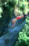 New Zealand - South Island - Queenstown: bungee jumping (photo by Elior Ben-Haiem)