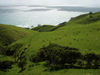 New Zealand - North Island - Coromandel Peninsula Waikato region: grass and ocean - photo by M.Samper