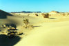 Niger - Sahara desert: dunes - photo by G.Frysinger